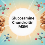 glucosamine sulphate chondroitin msm illustration articulations stylisées