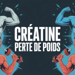 creatine perte de poids silhouettes sportives energie