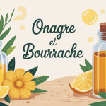 onagre et bourrache bienfaits peau hormones illustration