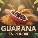 guarana en poudre fruit graines illustration