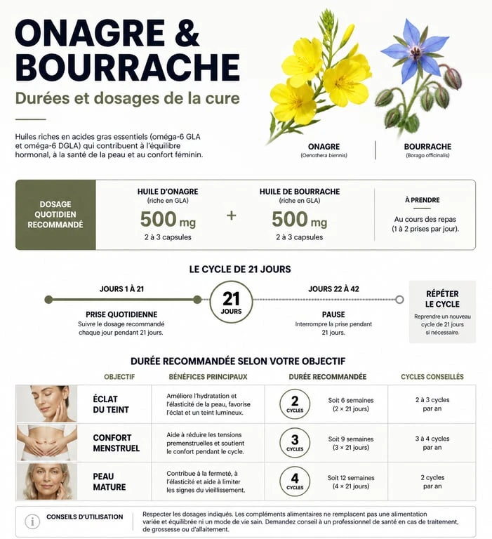 Infographie des durées et dosages recommandés pour une cure d'onagre et de bourrache