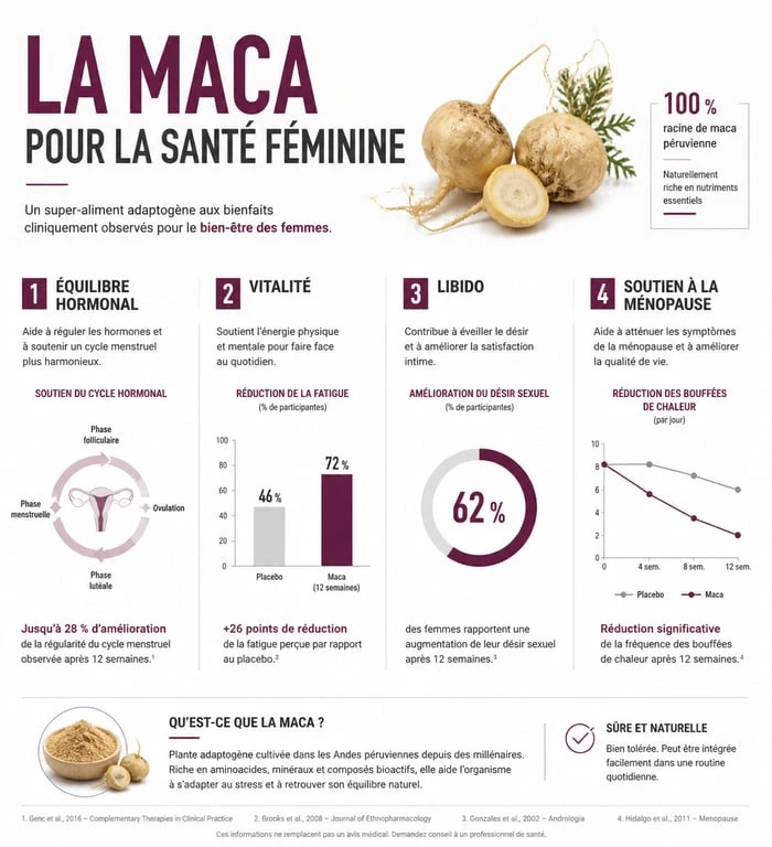Infographie des bienfaits de la maca pour la femme : équilibre hormonal, énergie et ménopause