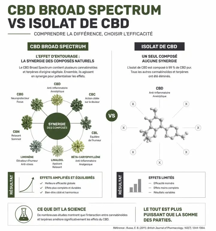 Infographie explicative sur la différence entre CBD Broad Spectrum et Isolat de CBD en pharmacie